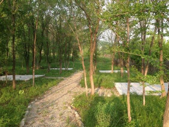 Turkic Park - Photo5