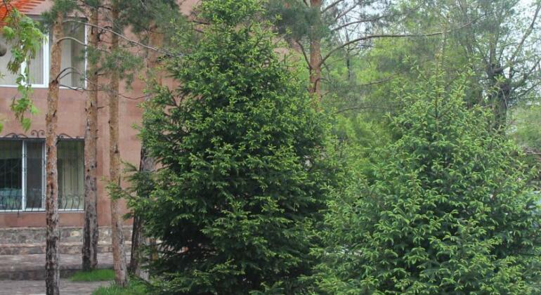 Hotel Edem Karagandy