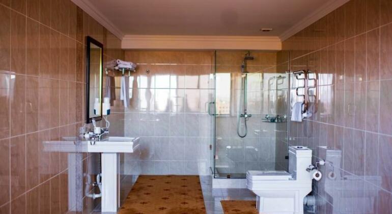 Shymkent Hotel - Photo5