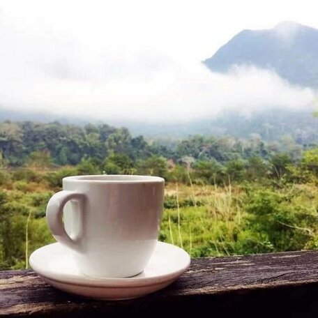 SuanPhaoGuesthouse - Photo5