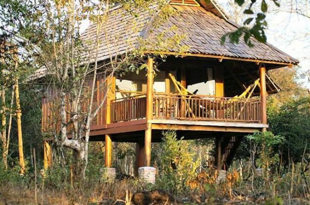 Kingfisher Ecolodge - Photo4
