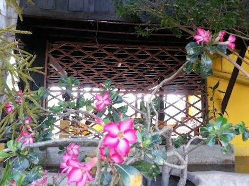 Mekong Dream - Photo4