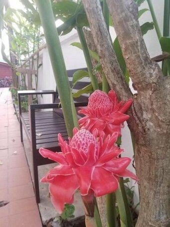 Alana Luang Prabang - Photo5