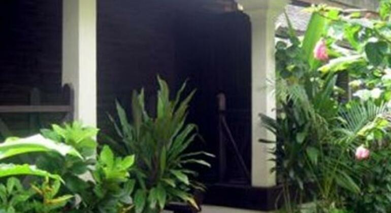 Bellevue Bungalow - Photo4