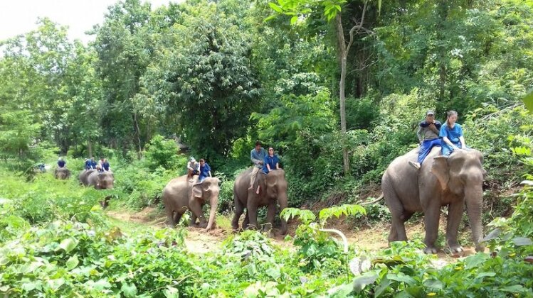 Mahout Resort - Photo3