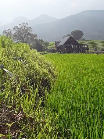 Nakhaohorm Farming Resort - Photo4