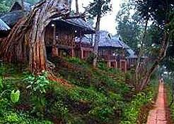 Stupa Mountain Lodge - Photo2