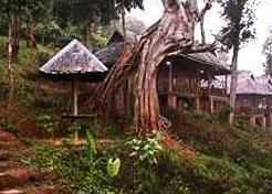 Stupa Mountain Lodge - Photo4