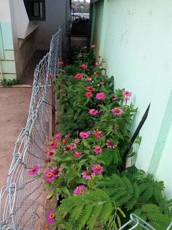 Pakse Riverside - Photo2