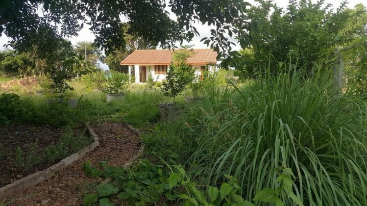 Pings Farmstay - Photo2