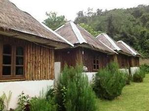 Many Home - Photo2