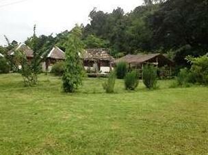 Many Home - Photo3