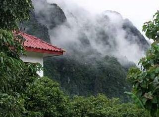 Vangviang Organic Farm - Photo2