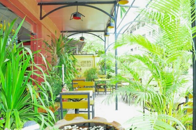 Ali Backpackers - Photo2