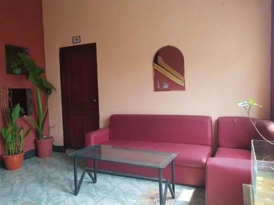 Ali Backpackers - Photo3