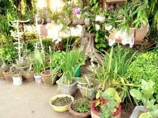 Phetthavone Guesthouse - Photo4