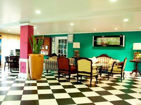 Coco Palm - Photo5