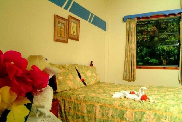Tropical Breeze Guest House Furnished Appartment - Photo5