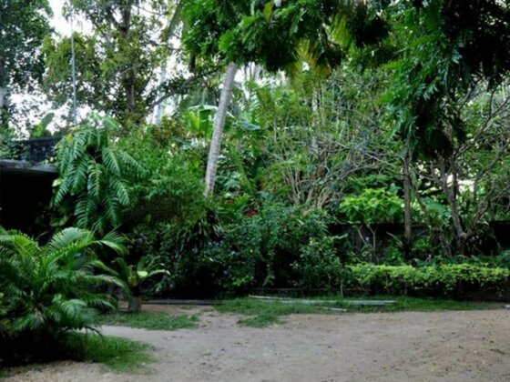 Green Corridor - Ahangama - Photo3