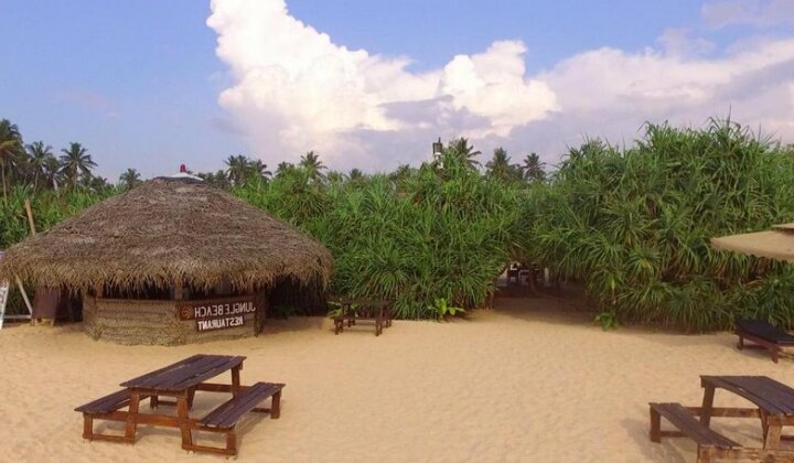 Jungle Beach Camp - Photo3