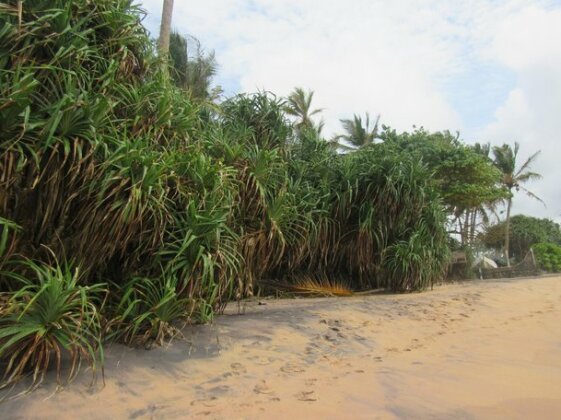 Leatherback Beach Villa - Photo5