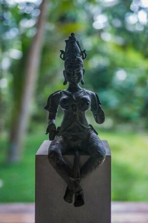 Yogi Toad Villa - Photo4