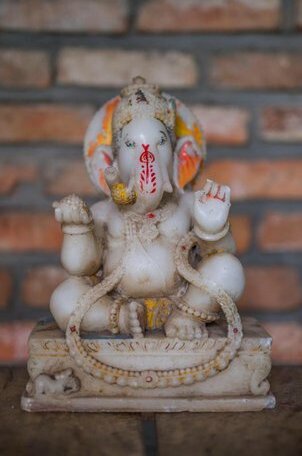 Yogi Toad Villa - Photo5