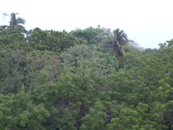 Rajarata Reach Resort - Photo3