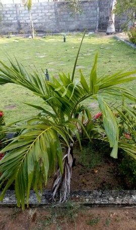 Beach Guest House Addalaichenai