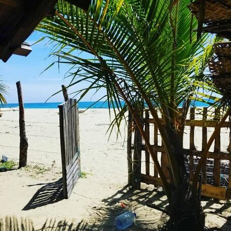 Purple Crab Rest Inn - Photo4