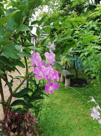 Villa Aloka - Photo3