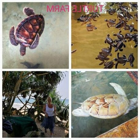 Wimala B&B - Photo3