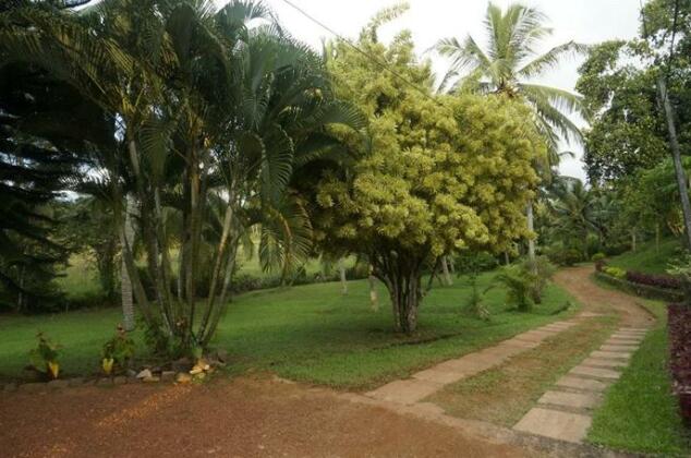 Greengarden Bungalow - Photo5