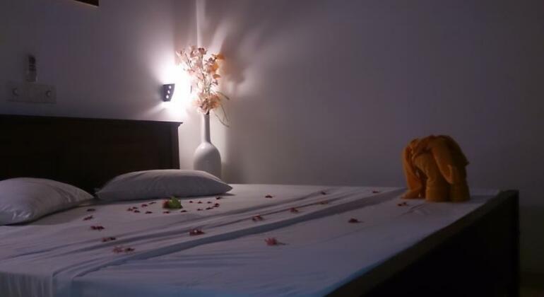 Rudy guesthouse - Photo3