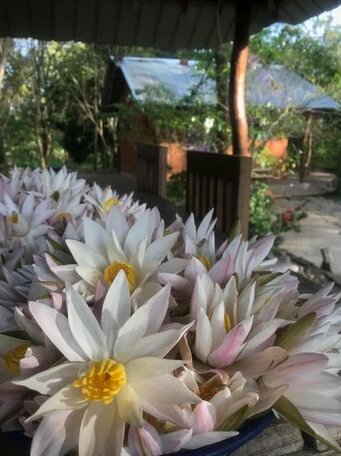 JD's Eco Bungalow - Photo5