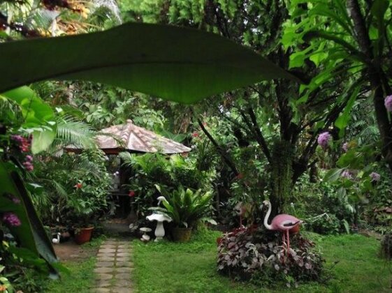 Jambu Tree - Photo5