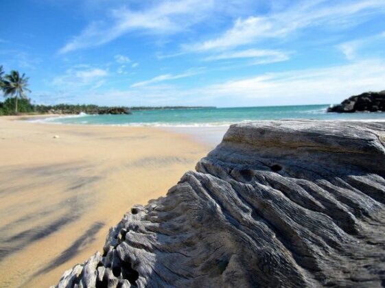 Modern Beachside Luxury - Photo2