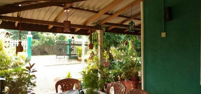 Family Nest - Photo2
