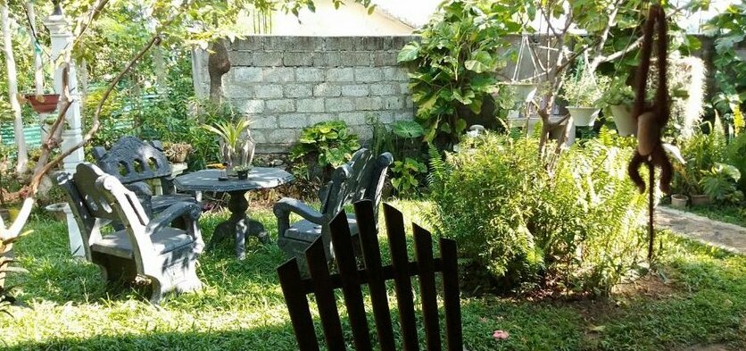 Family Nest - Photo5