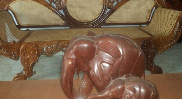 Kandalama Kings Resort - Photo2