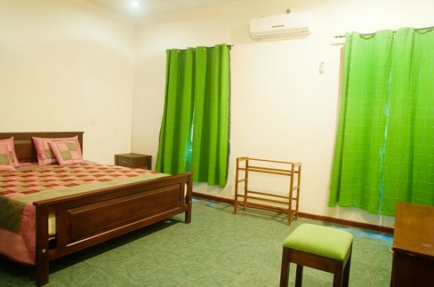 Raintree - Photo5