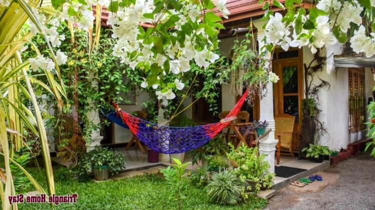 Triangle Home Stay - Photo3
