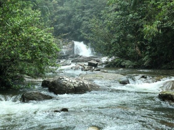 Explore Sinharaja Rain Forest Tour Camp All Inclusive