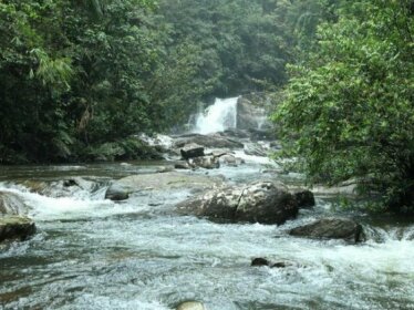 Explore Sinharaja Rain Forest Tour Camp All Inclusive