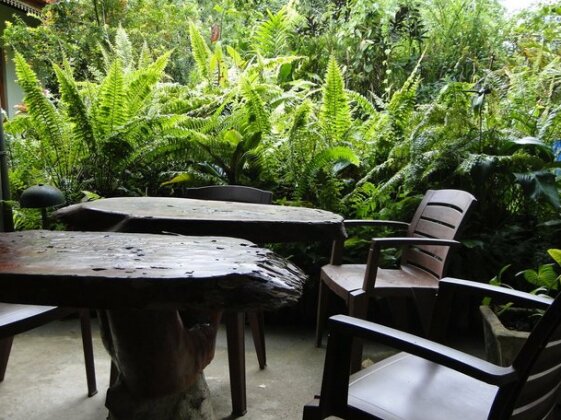 Homestay - Nature lovers in the rain forest