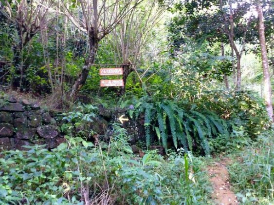 Natural Mystic Sanctuary - Photo5