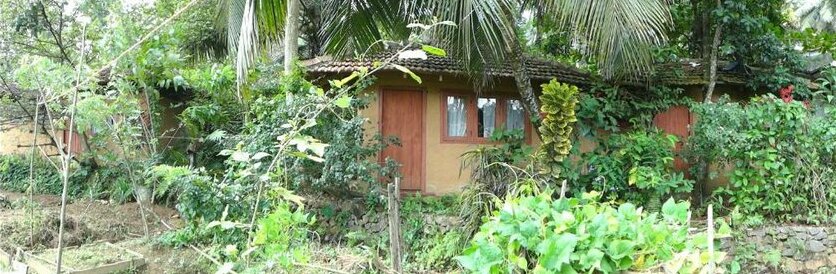 Rural Jungle Backpackers Hostel