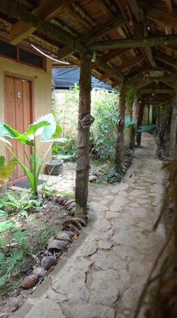 Rural Jungle Backpackers Hostel - Photo2