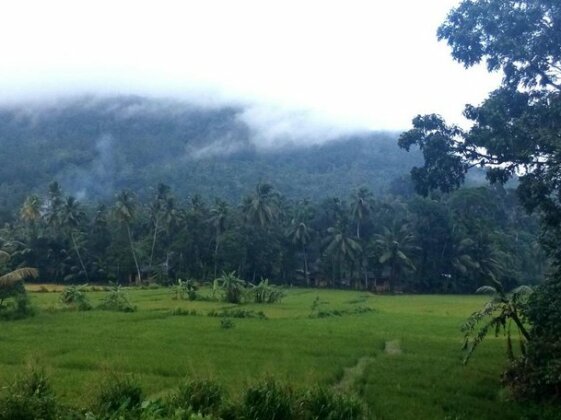 Sinharaja Green View - Photo5
