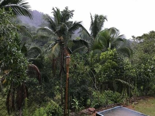 Sinharaja Rain Forest View Villas - Photo5